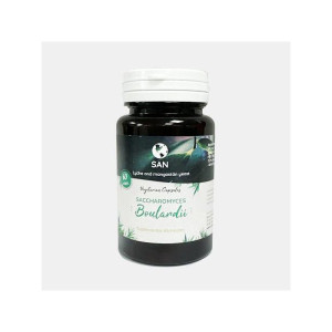 SAN SACCHAROMYCES BOULARDII 60 CAPSULAS