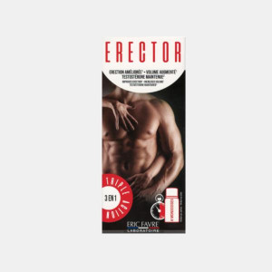 ERIC FAVRE ERECTOR 4 UNIDOSES