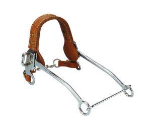 Hackamore Equi Theme III