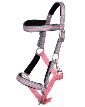 Kantar źrebięcy QHP "Flore" wiosna/lato 2024 Flamingo Pink 24h