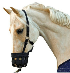Kaganiec HKM "Muzzle" 24h