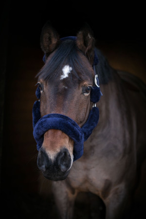 Kantar Lovequestrian "Elegant Navy & Silver" 24h