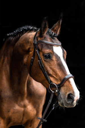 Ogłowie Lovequestrian "Anatomic Comfortline" Brown