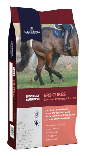 Pasza Dodson & Horrell ERS Cubes 20kg