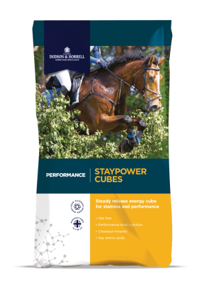 Pasza Dodson & Horrell Staypower Cubes 20kg