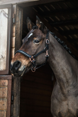 Kantar skórzany Lovequestrian "Rosegold Classy" 24h