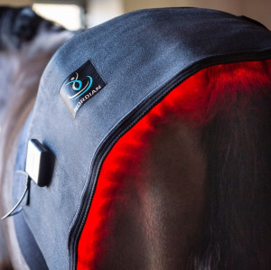 Pad terapeutyczny Nordian Light Therapy XL