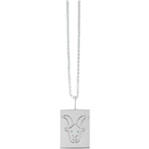 Zodiac by Design Letters - Capricorn Silver