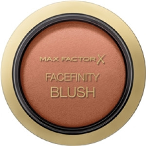 Facefinity Blush 2 gram No. 040