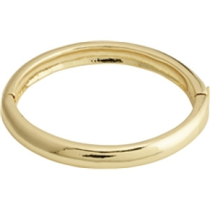 10231-2002 BE Bangle Bracelet