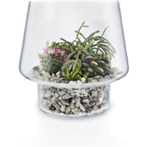 Eva Solo Glasvas sukkulenter 21 cm