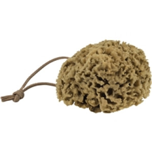 Ocean Body sponge Dark
