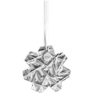 Annual Ornament 2022