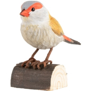 DecoBird Rödbrynad Astrild