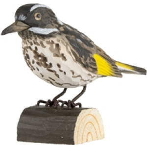 DecoBird Vitögd Honungsfågel