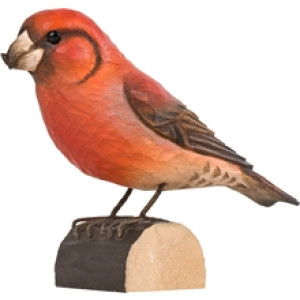 DecoBird Mindre Korsnäbb