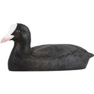 DecoBird Sothöna