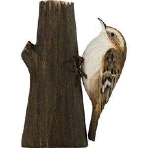 DecoBird Trädkrypare