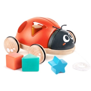 Shape Sorter Ladybug