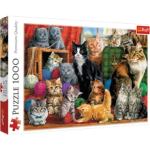 Puslespill 1000 Deler Cats Meeting