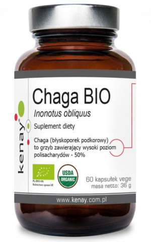 Kenay CHAGA BIO Inonotus obliquus 60 kapsułek