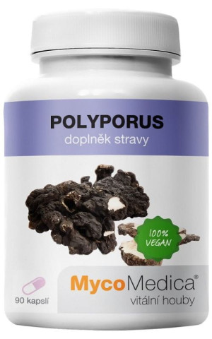 Polyporus 30% polisacharydów 90 kaps. MycoMedica