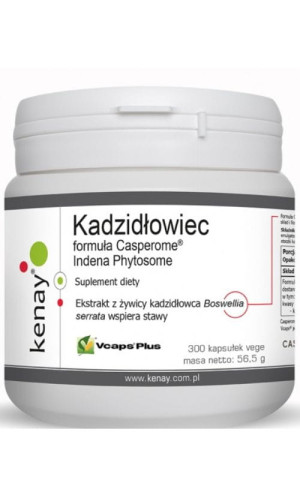 Kenay Kadzidłowiec formula Casperome® Indena Phytosome 300 kapsułek