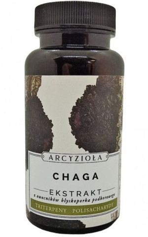 Chaga 50g Arcyzioła Rokitnik i Przyjaciele