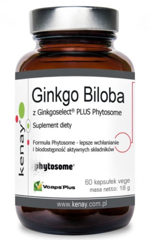 Kenay Ginkgo Biloba z Ginkgoselect Phytosome 60 kapsułek