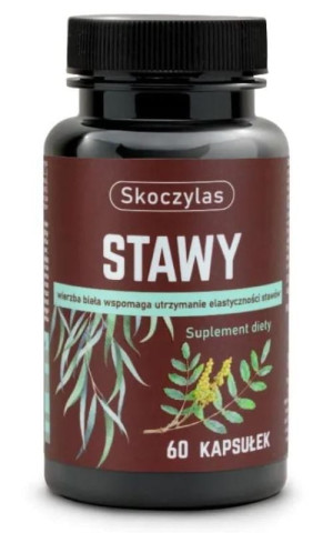Skoczylas Stawy 60 kapsułek