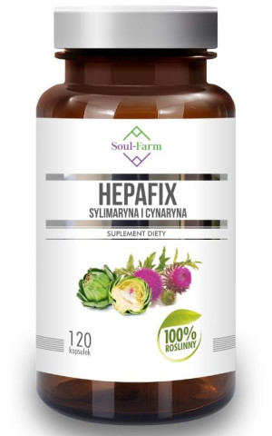 HEPAFIX Sylimaryna Cynaryna Karczoch 560 mg 120 kaps Soul-Farm
