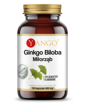 Yango Ginkgo biloba ekstrakt 24% (100mg 90 kapsułek)