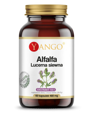 Yango Alfalfa Lucerna siewna 480mg 60 kapsułek