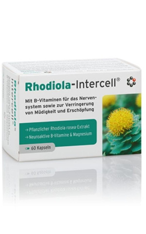 Rhodiola-Intercell wyciąg z Różeńca górskiego (Rhodiola rosea) 60 kaps. INTERCELL