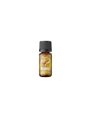 Svaponext Plumky Next Flavour Aroma Concentrato 10ml Plumcake Albicocca