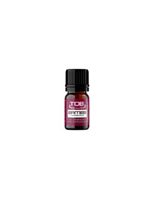 ToB Ermes 3.0 Aroma Concentrato 10ml Tabacco Crema Nocciola Panna Cotta