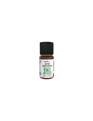 VaporArt Mint Antartika Aroma Concentrato 10ml Menta
