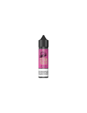 Steam Train Journey Liquido Shot 20ml Mela