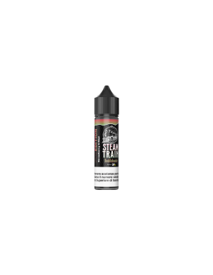Steam Train Doubleheader Pod Edition Liquido Shot 20ml Fragola Kiwi Ghiaccio