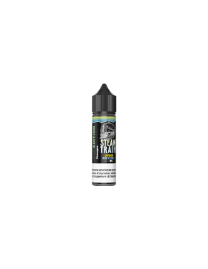 Steam Train Under Pressure Pod Edition Liquido Shot 20ml Ananas Ghiaccio