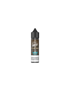 Steam Train Train To Heaven Liquido Shot 20ml Tabacco