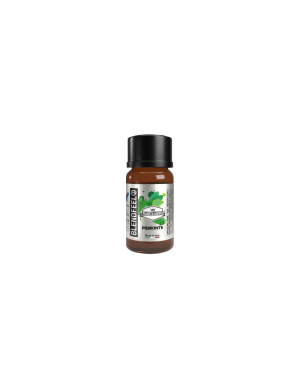 BlendFeel Piemonte Pianeta Menta Aroma Concentrato 10ml