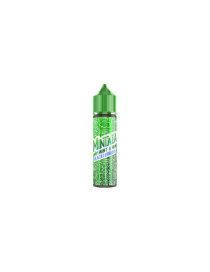 Eliquid France Mintaia Mint & Blackcurrant Liquido Shot 10ml Menta Ribes Nero