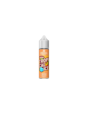 Royal Blend Tropical Ice Liquido Shot 10ml Frutta Esotica Ghiaccio