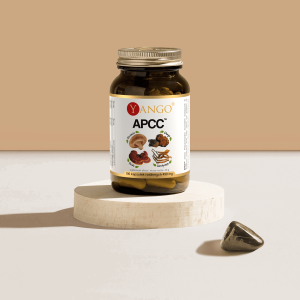 APCC™ - reishi, shitake, kordyceps, chaga - 100 kapsułek - suplement w kapsułkach