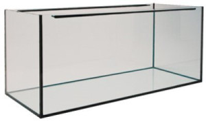 Helglasakvarium - 125x50x55 cm - 343 liter