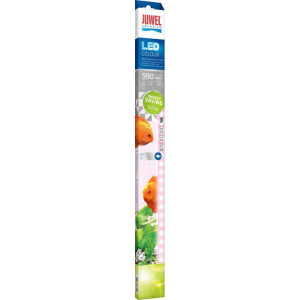 Juwel LED Colour lysrör - 590 mm - 11 W