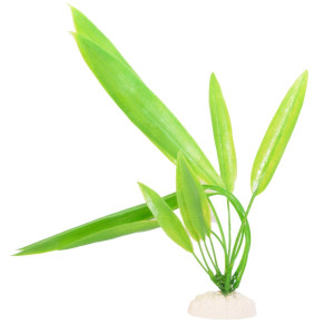 Plastväxt för akvarium - Svärdplanta - 30 cm