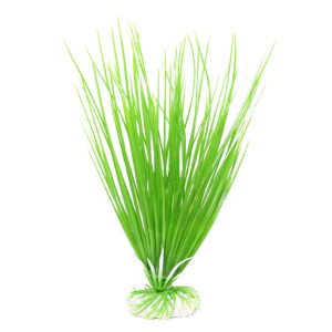 Plastväxt för akvarium - Ciklidgräs - 20 cm