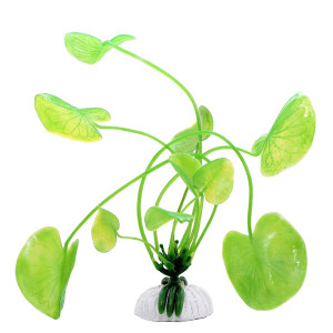 Plastväxt för akvarium - Hydrocotyle leucocephala - 20 cm